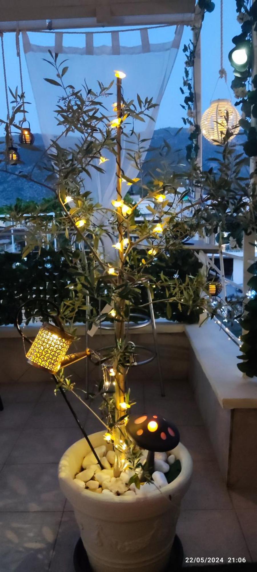 Delphitea Philoxenia Apartment *